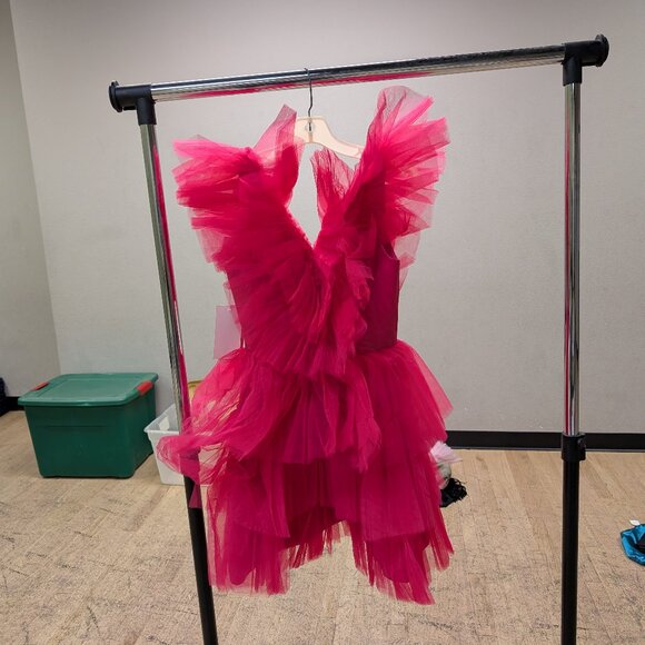 Pink Ruffle Dress - Picture 1 of 3